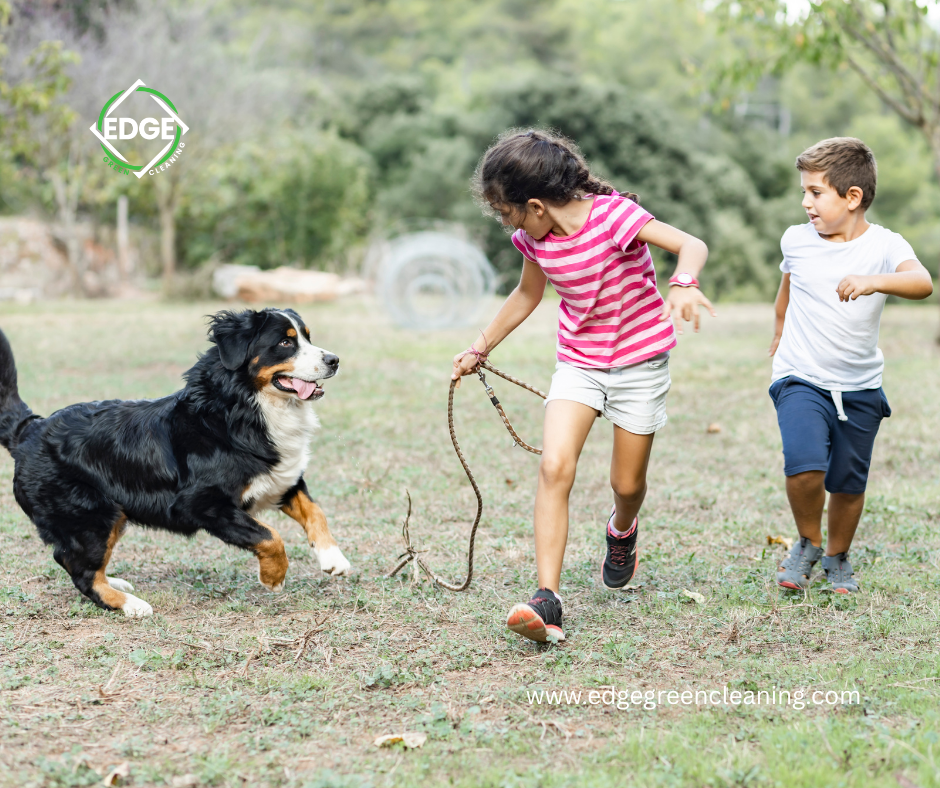 Outdoor Joy Starts Indoors: How Indoor Cleaning Helps You Enjoy Outside More